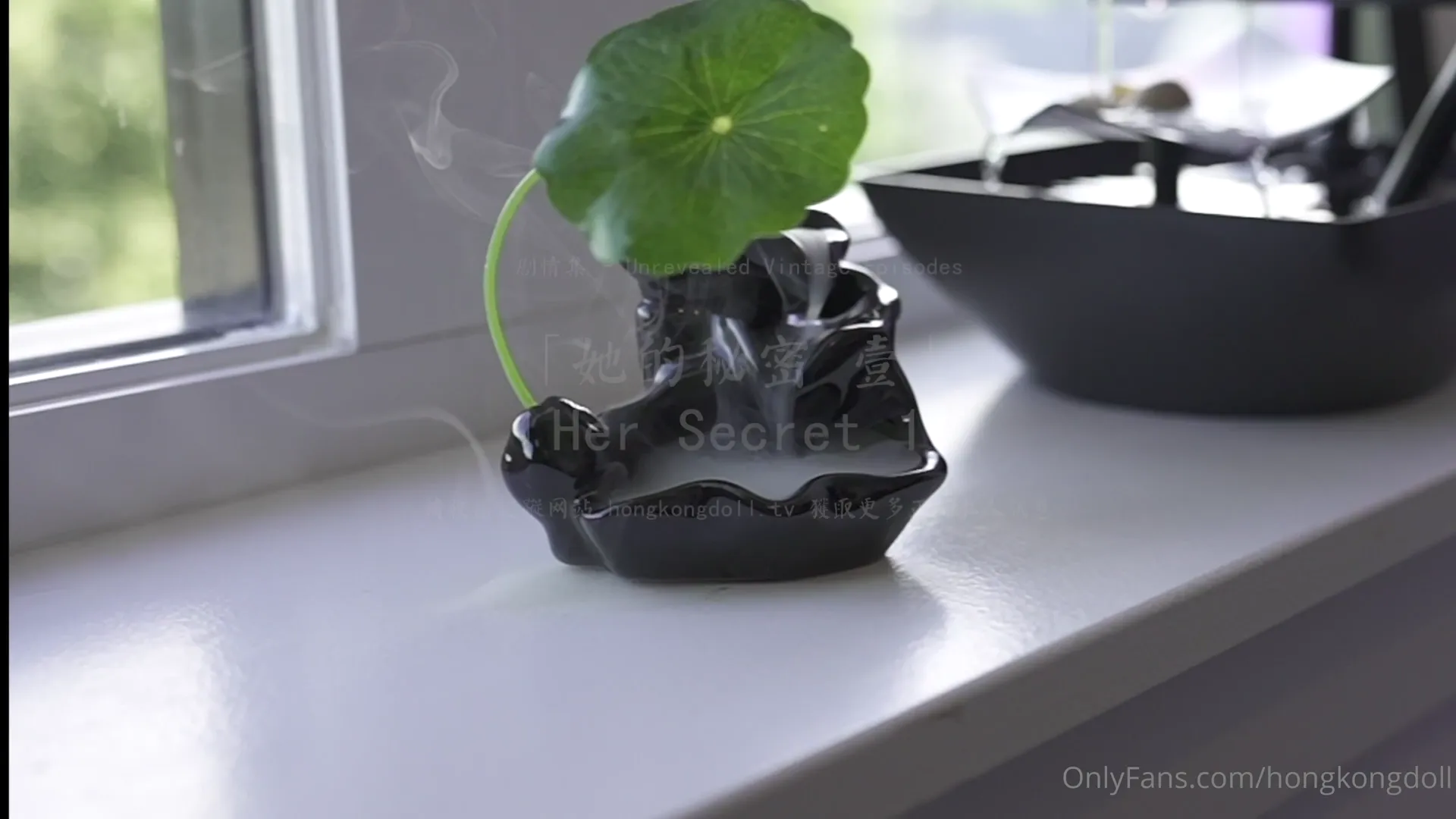 网红秘密